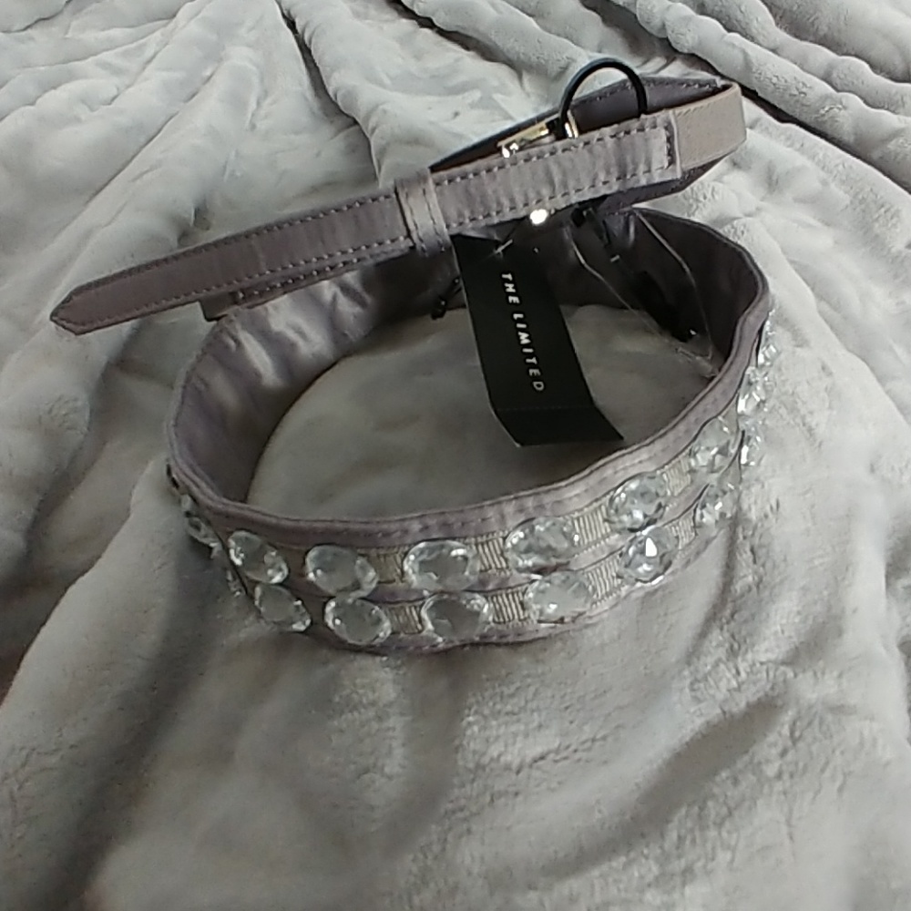 The Limited Silver Grey Rhinestone Belt